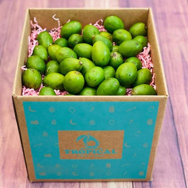 Fresh June Plum For Sale
